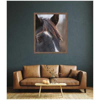 Black and White Horse by Emiko and Mark Franzen F2 Images Framed Wall Art Print
