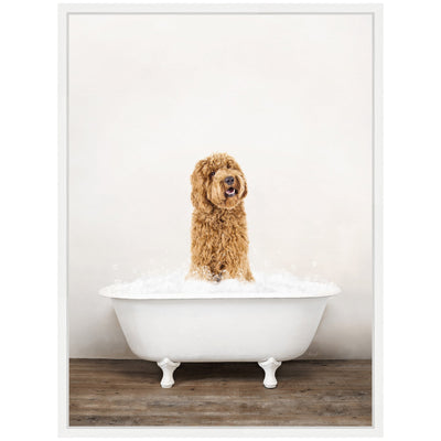 Sylvie Golden Labradoodle in Rustic Bath Style Framed Canvas by Amy Peterson