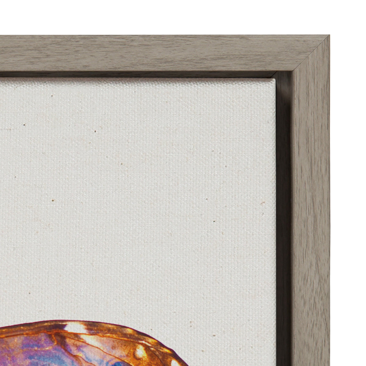 Sylvie Coppertop Butterfly Framed Canvas by kateandlaurel - product image 3 for Resin Society