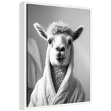 Black and white framed portrait of a llama wearing a white bathrobe, showing its fluffy fur and upright ears against a blurred background.