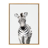 Sylvie Baby Zebra Framed Canvas by Amy Peterson by kateandlaurel - product image 16 for Resin Society
