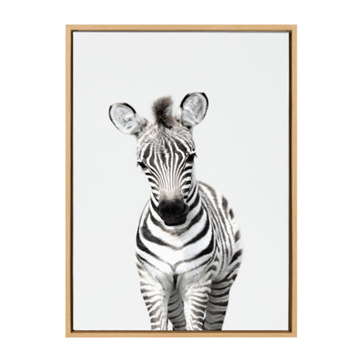 Sylvie Baby Zebra Framed Canvas by Amy Peterson by kateandlaurel - product image 16 for Resin Society