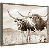 Two sepia-toned Texas Longhorn cattle standing in a grassy pasture with long curved horns and mottled black-and-white coats under a cloudy sky.