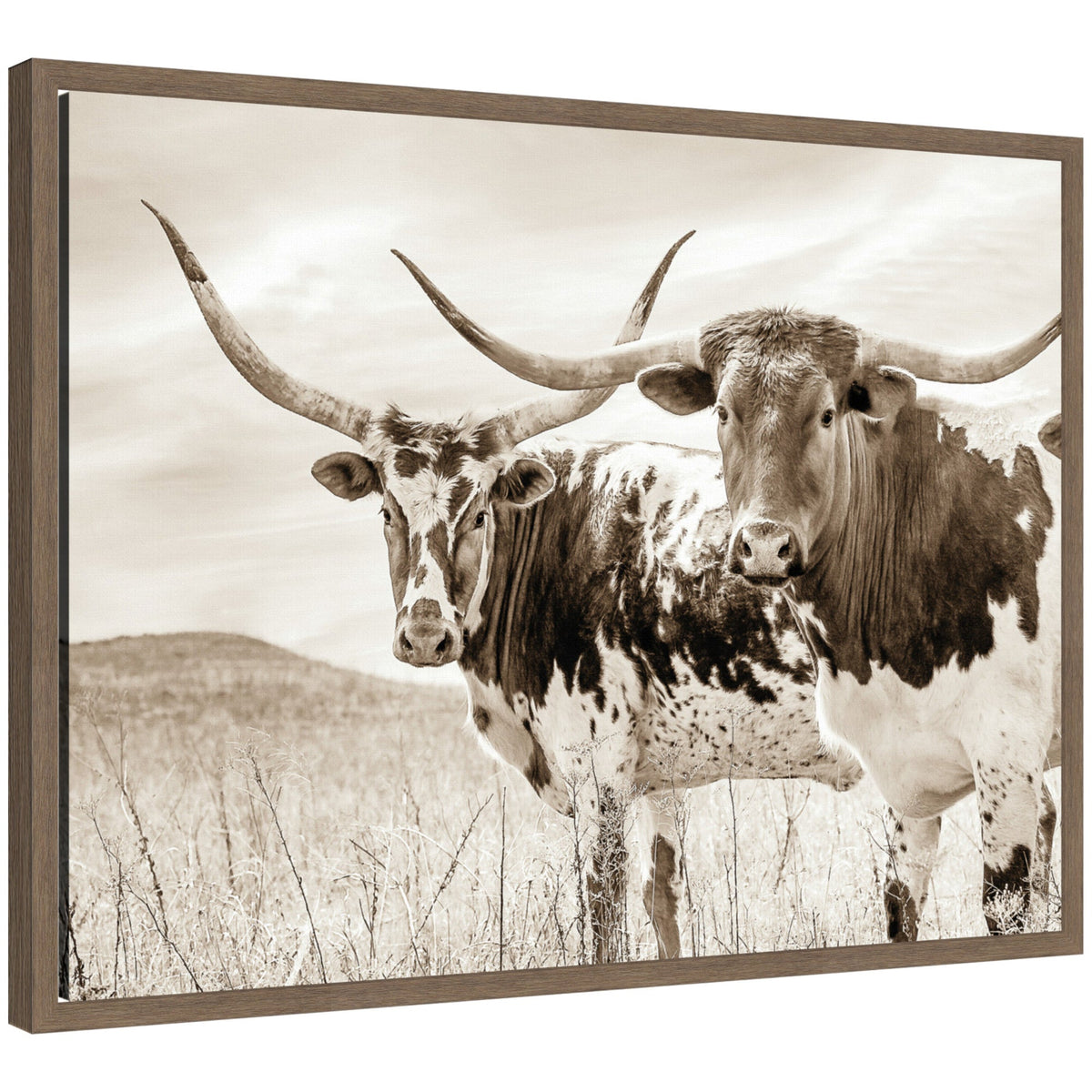 Two sepia-toned Texas Longhorn cattle standing in a grassy pasture with long curved horns and mottled black-and-white coats under a cloudy sky.