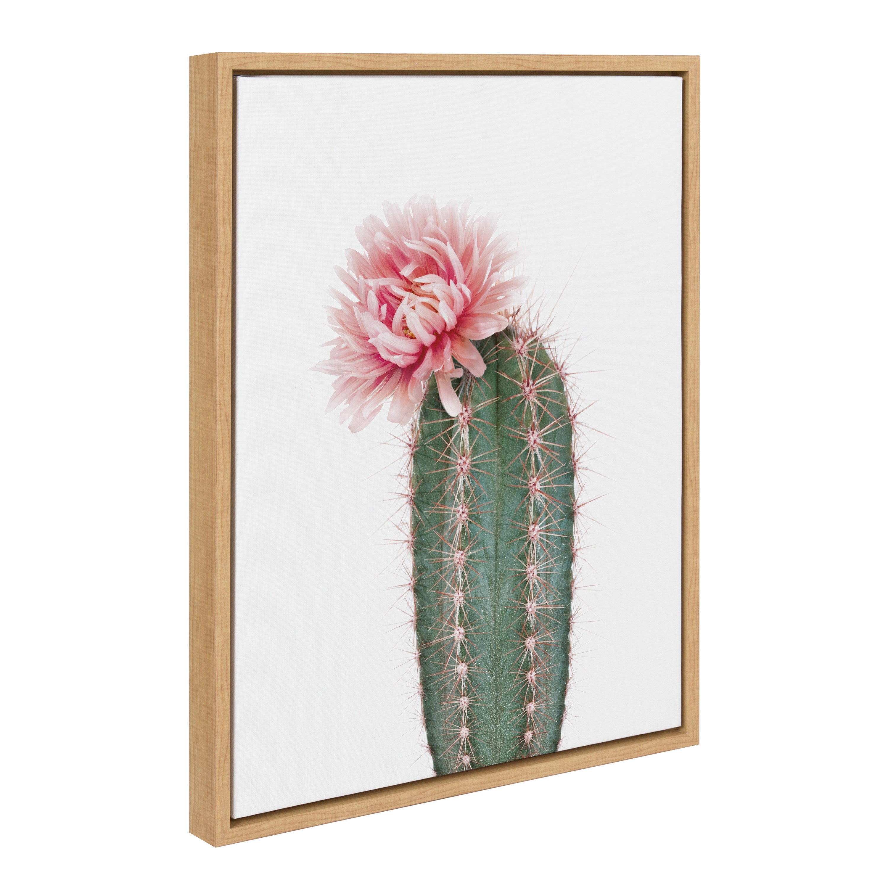 Sylvie Pink Cactus Flower Framed Canvas by Amy Peterson Art Studio