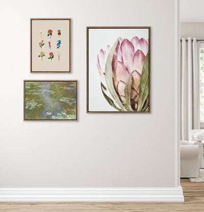 Sylvie Pink Protea Flower Framed Canvas by Amy Peterson by kateandlaurel - product image 5 for Resin Society