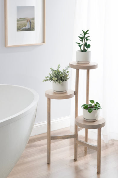 Fitley Wooden Plant Stand by kateandlaurel - product image 19 for Resin Society