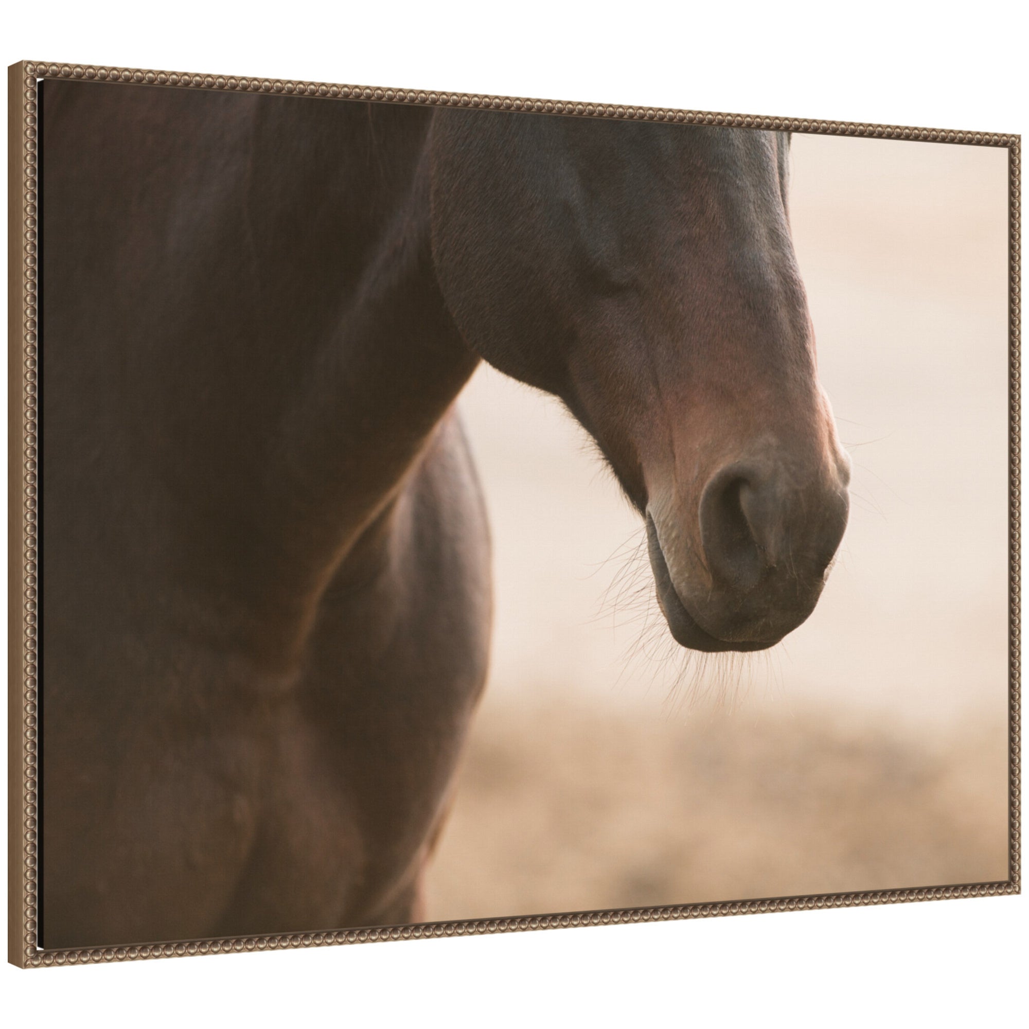 Dusty by Crystal Lynn Collins Framed Canvas Wall Art Print