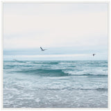 Calm ocean waves under a pale sky with three birds flying above the water's surface, captured in soft blue and gray tones on a square canvas.