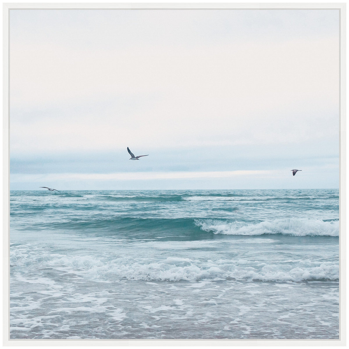 Calm ocean waves under a pale sky with three birds flying above the water's surface, captured in soft blue and gray tones on a square canvas.