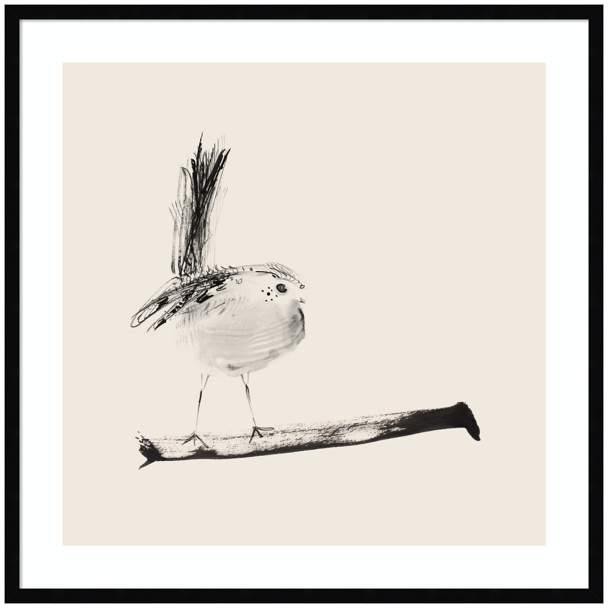 Sketched Bird On Branch by Danushka Abeygoda Framed Wall Art Print