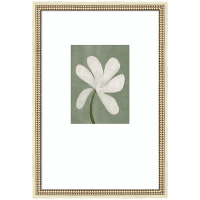 White Floral by Gabrielly Guedes, framed wall art print with botanical white flowers on black background, in Castellan Distressed White frame