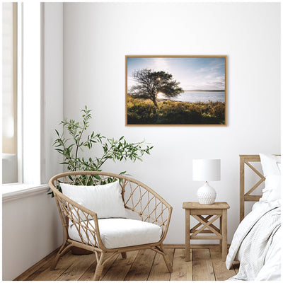 Sylvie Coastal Serene Sunset Tree Landscape Framed Canvas by Patricia Hasz