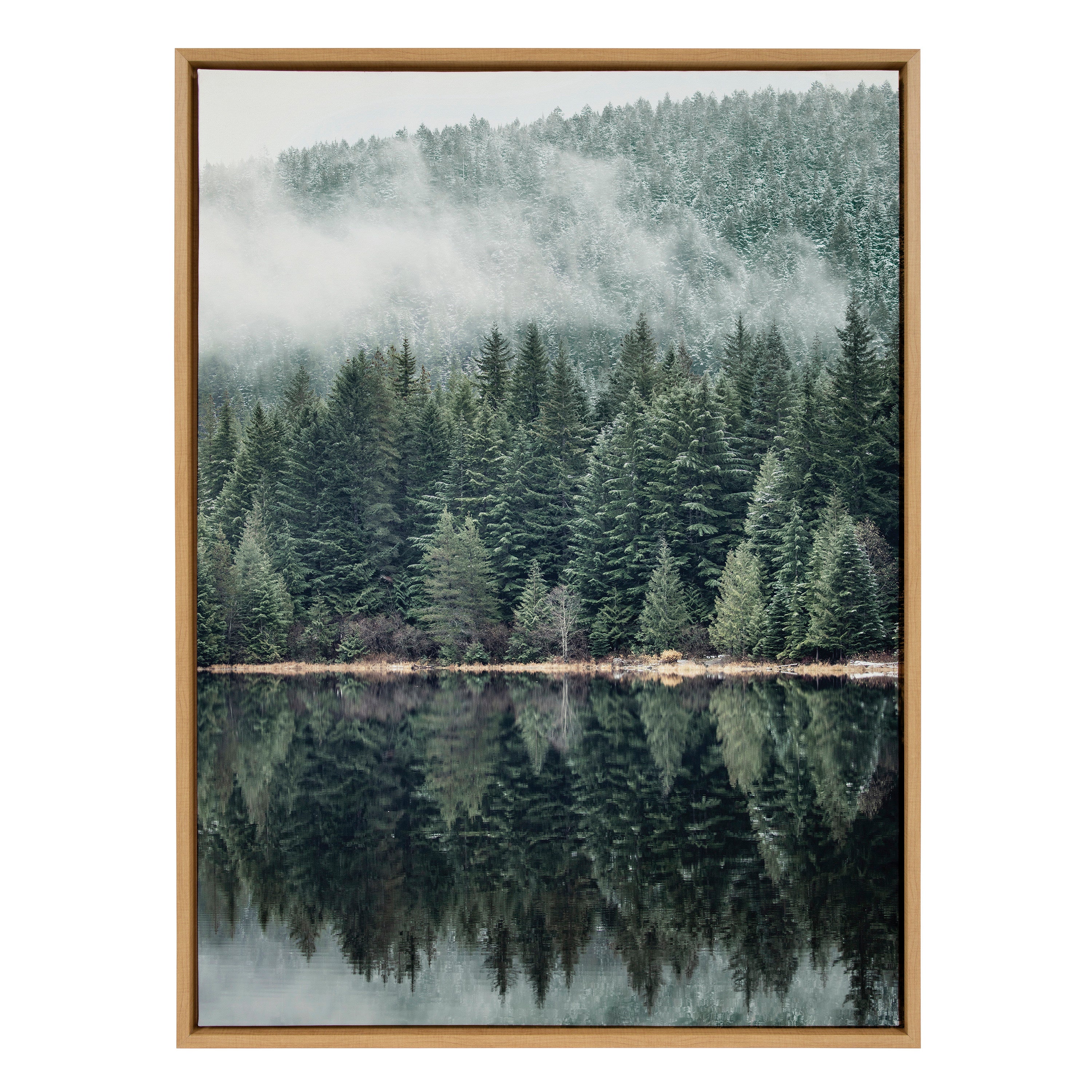 Sylvie Misty Forest Framed Canvas by Emiko and Mark Franzen of F2Images