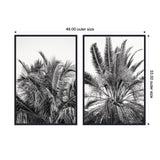 Two black-framed rectangular canvases, each featuring monochrome close-ups of palm leaves with detailed textures and varying frond directions against a white background.