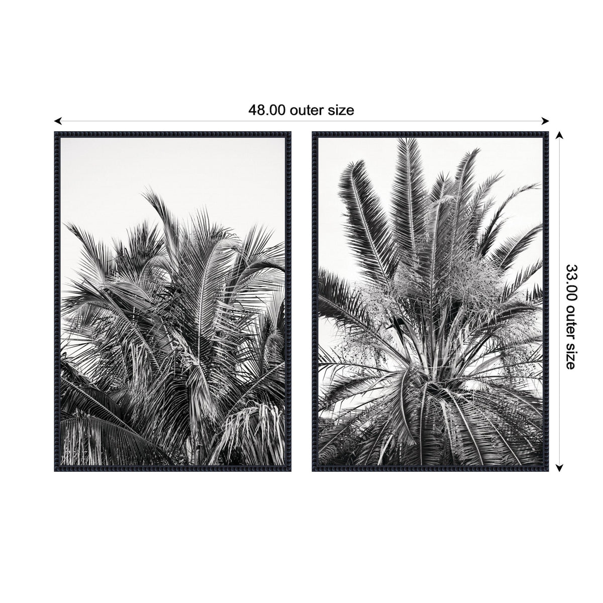 Two black-framed rectangular canvases, each featuring monochrome close-ups of palm leaves with detailed textures and varying frond directions against a white background.