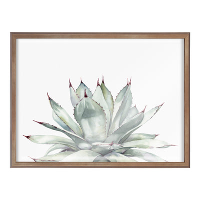 Blake Parrys Agave Framed Printed Glass by kateandlaurel - product image 15 for Resin Society