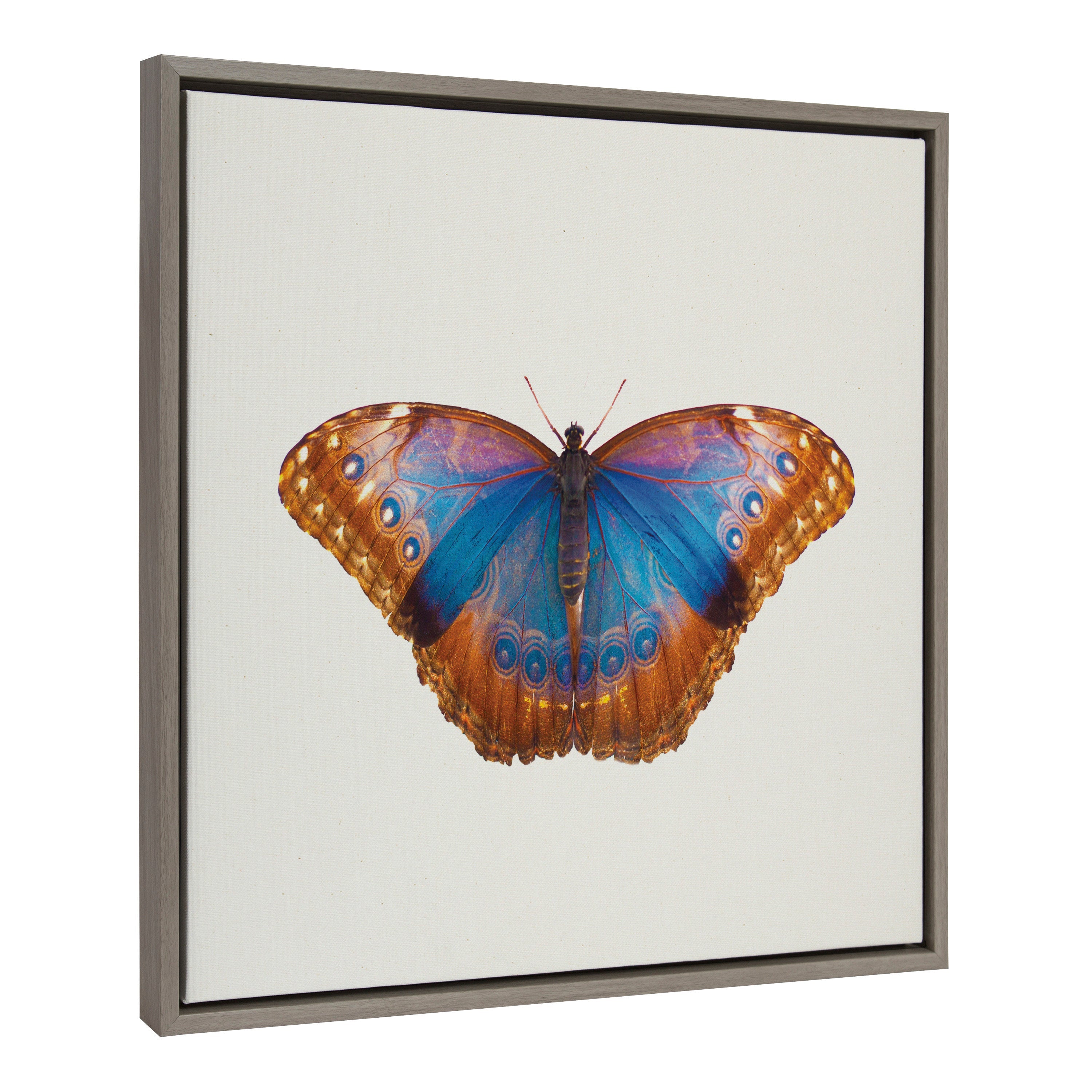 Sylvie Coppertop Butterfly Framed Canvas by kateandlaurel - product image 2 for Resin Society