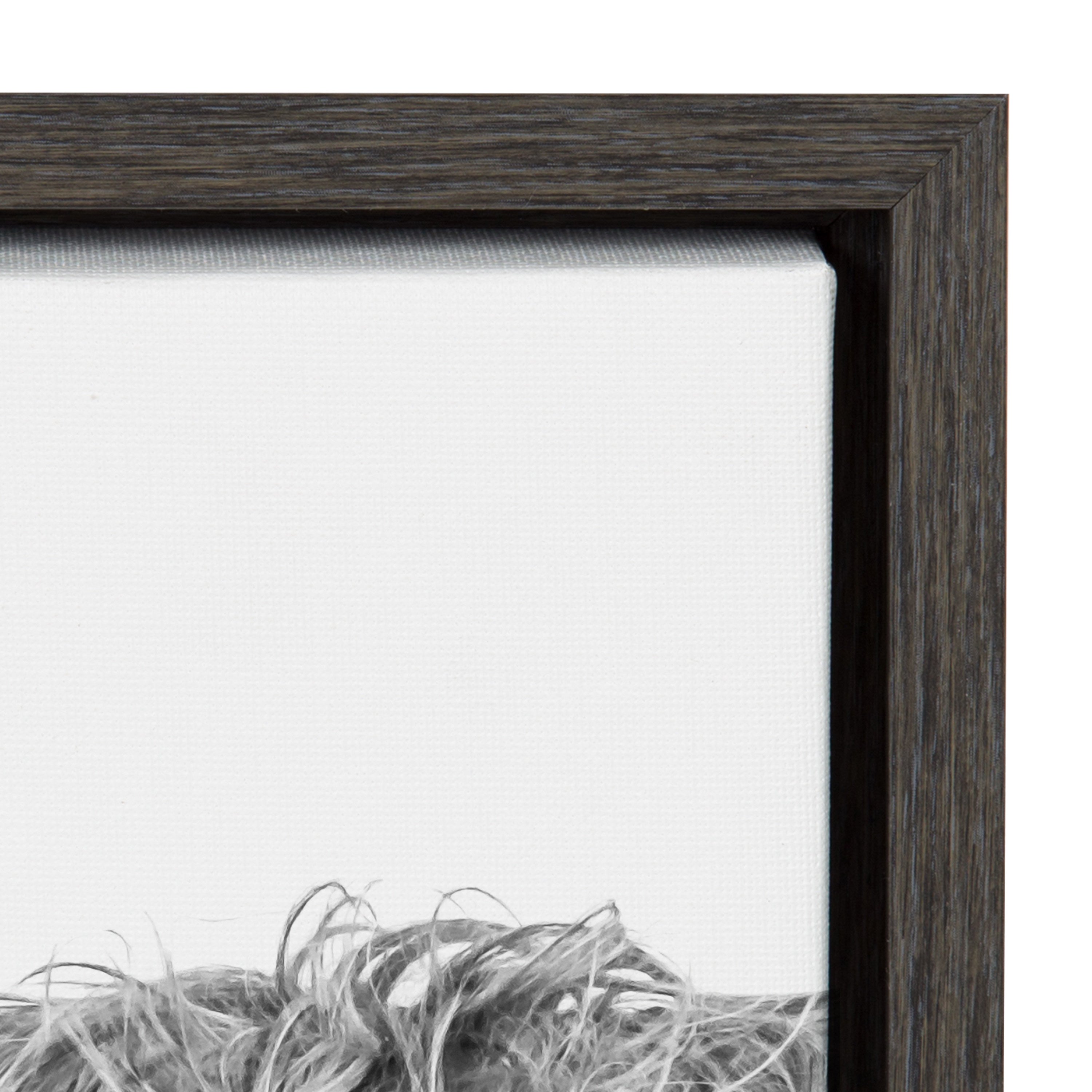 Sylvie Highland Cow Framed Canvas by kateandlaurel - product image 20 for Resin Society