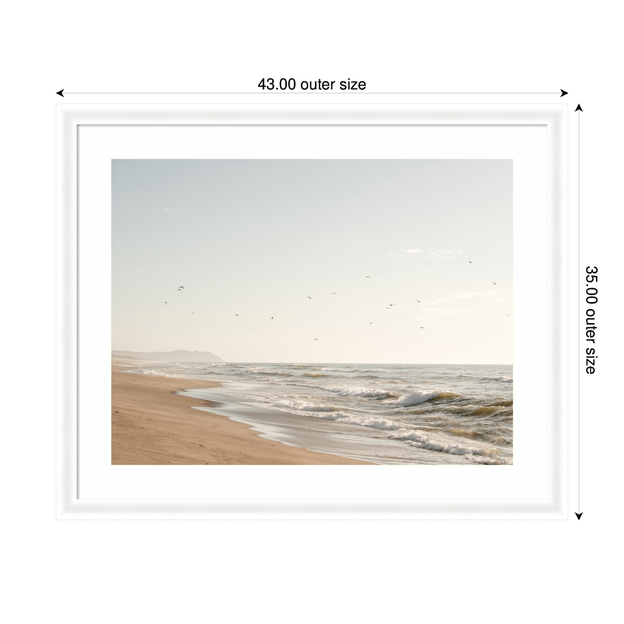 Framed Art Coastal Flight by Crystal Lynn Collins
