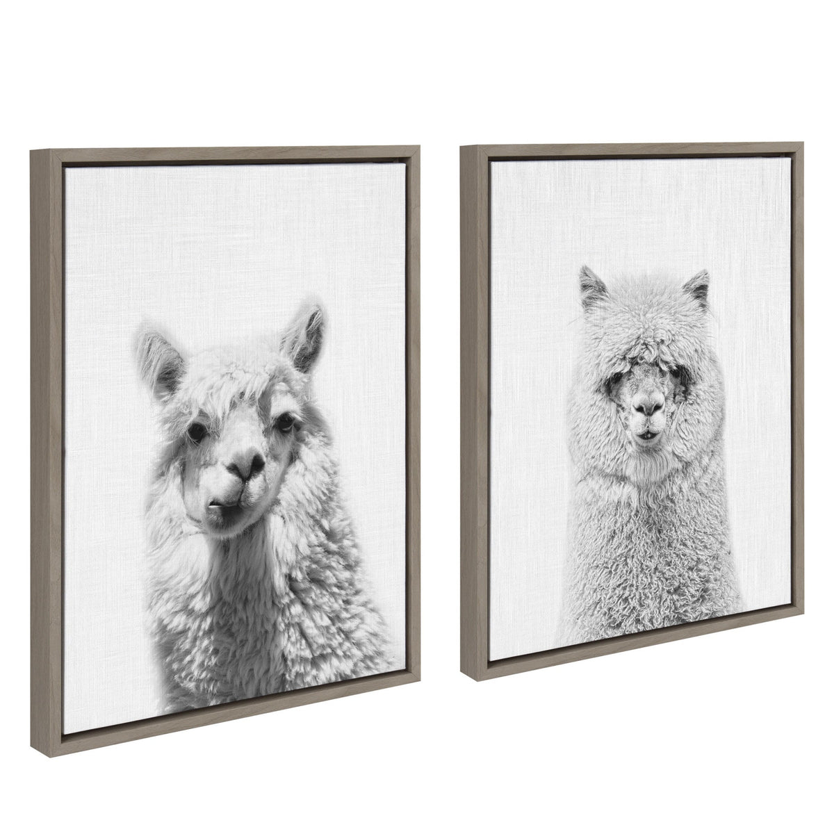 Sylvie Alpaca Portrait Set Framed Canvas By Simon Te by kateandlaurel - product image 2 for Resin Society