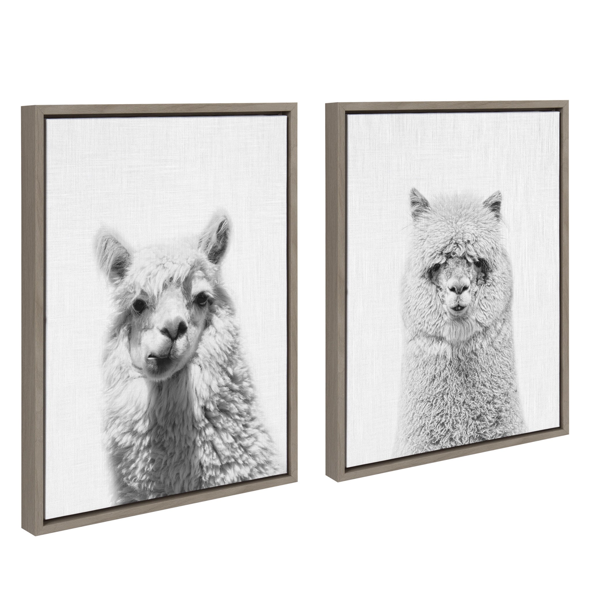 Sylvie Alpaca Portrait Set Framed Canvas By Simon Te by kateandlaurel - product image 2 for Resin Society
