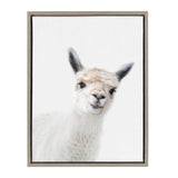 Sylvie Animal Studio Alpaca framed canvas art by Amy Peterson featuring a fluffy alpaca illustration in a modern floating frame.
