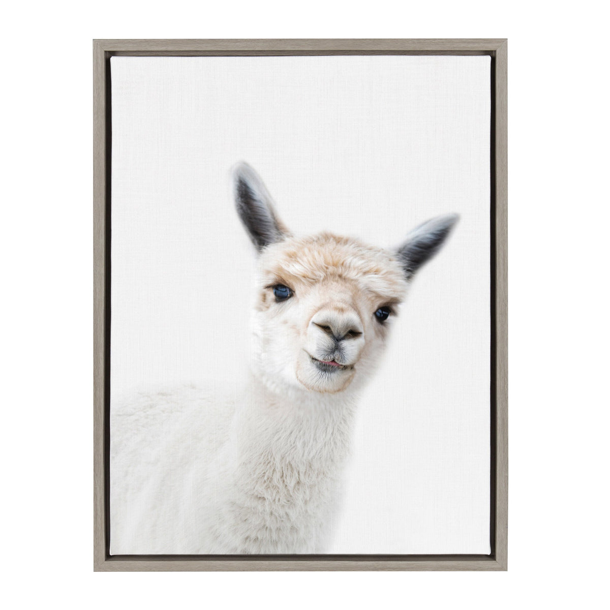 Sylvie Animal Studio Alpaca framed canvas art by Amy Peterson featuring a fluffy alpaca illustration in a modern floating frame.