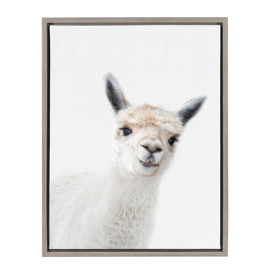 Sylvie Animal Studio Alpaca framed canvas art by Amy Peterson featuring a fluffy alpaca illustration in a modern floating frame.