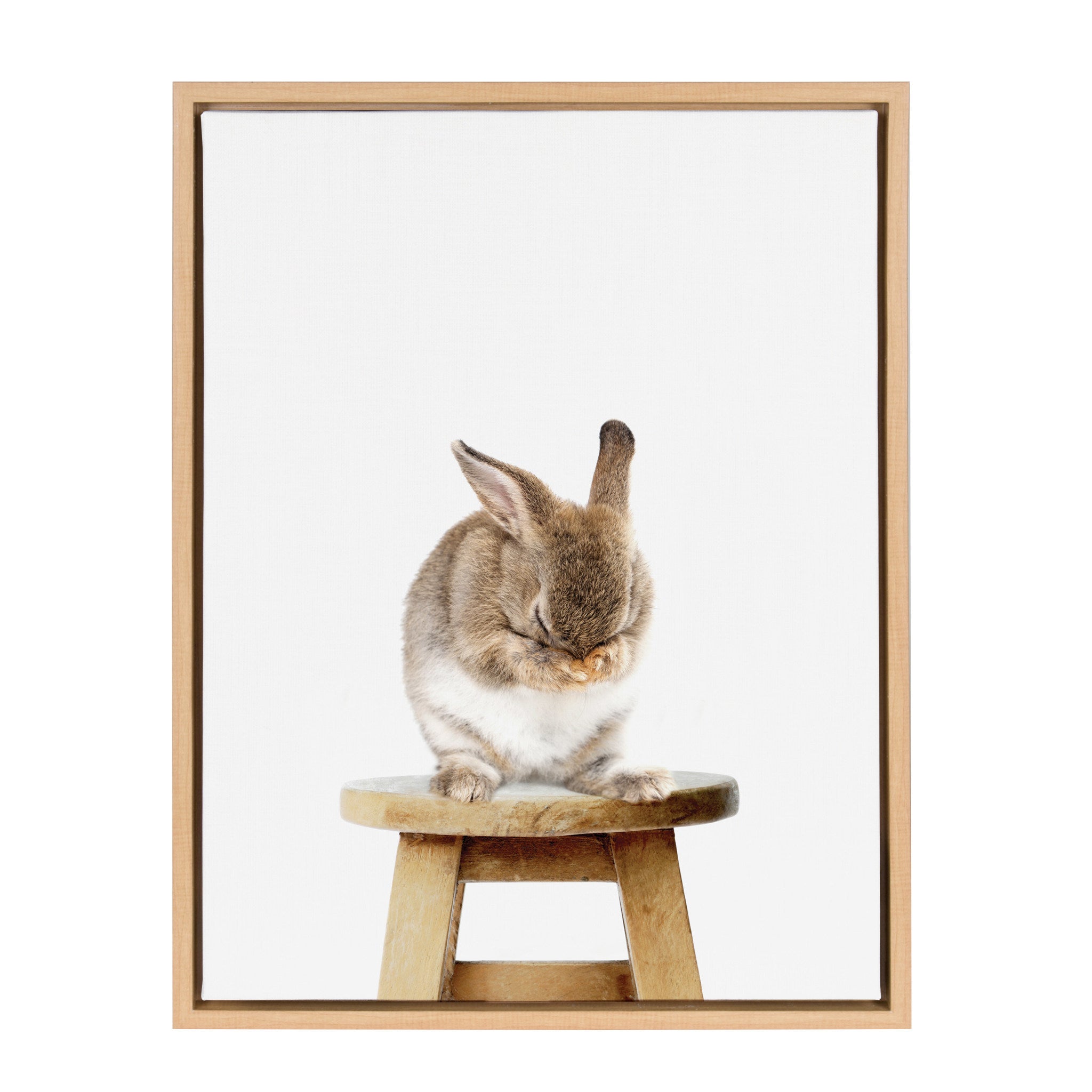 Sylvie Shy Rabbit Framed Canvas by Amy Peterson by kateandlaurel - product image 2 for Resin Society