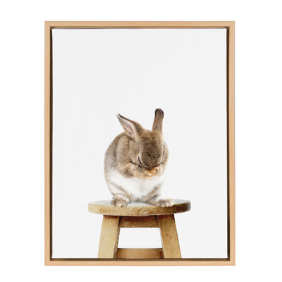 Sylvie Shy Rabbit Framed Canvas by Amy Peterson by kateandlaurel - product image 2 for Resin Society
