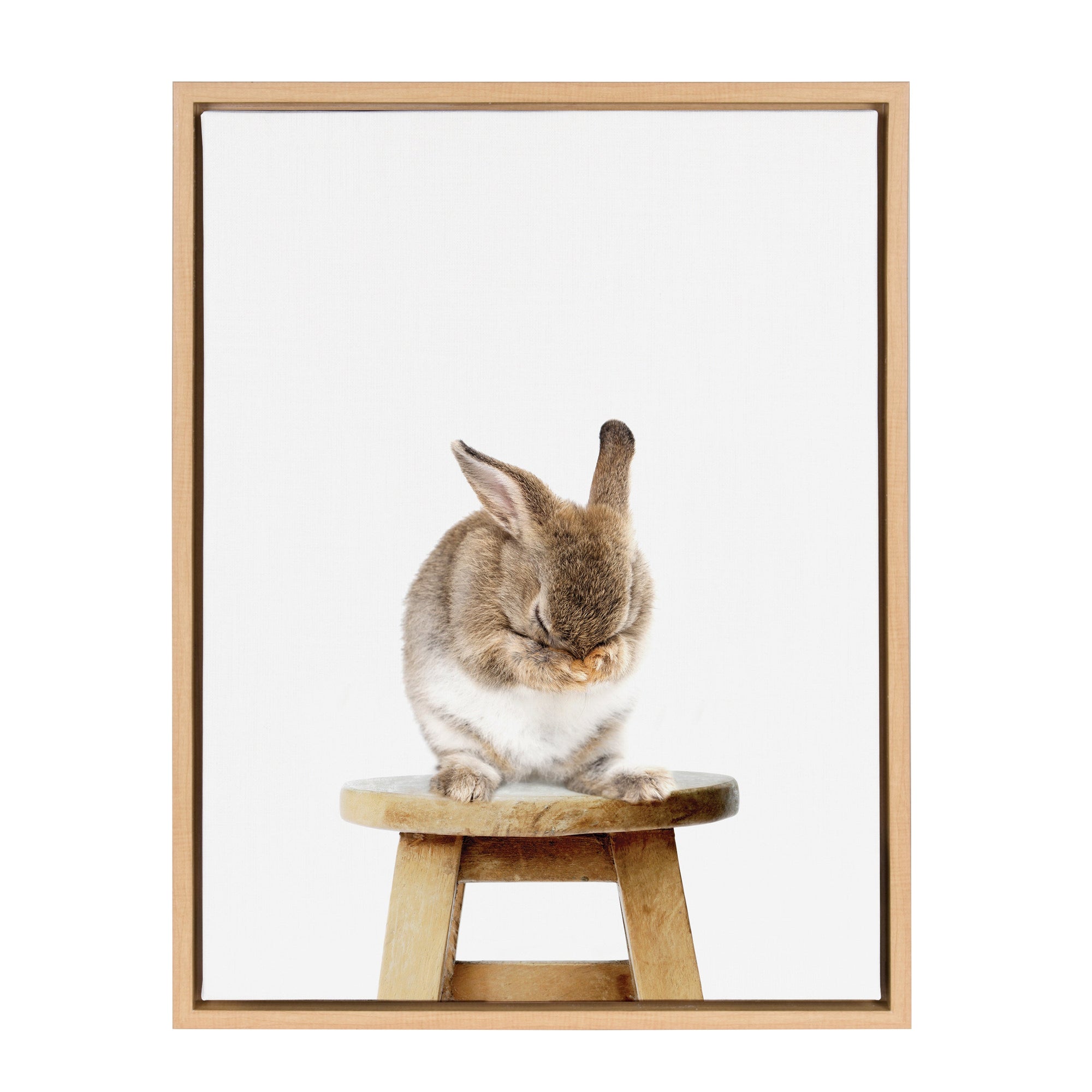 Sylvie Shy Rabbit Framed Canvas by Amy Peterson by kateandlaurel - product image 8 for Resin Society