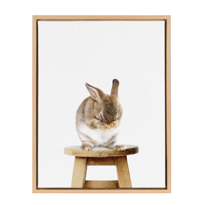 Sylvie Shy Rabbit Framed Canvas by Amy Peterson by kateandlaurel - product image 8 for Resin Society