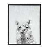 Framed canvas art of a handsome alpaca by Simon Te, displaying the animal with a calm expression against a muted background.