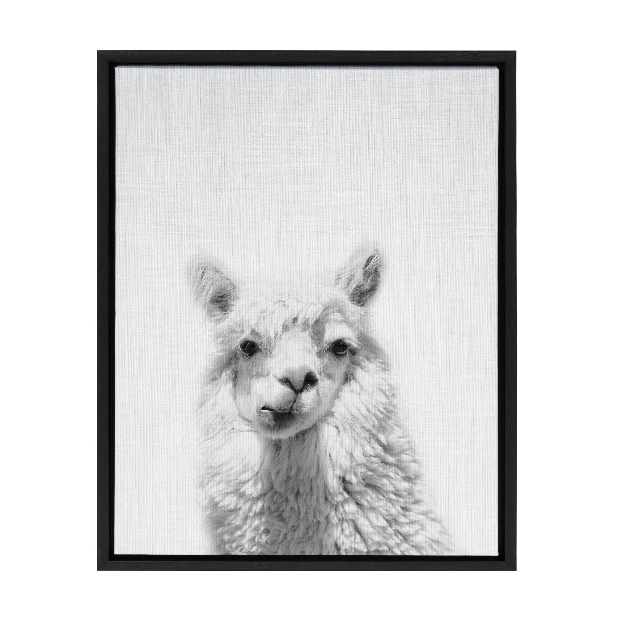 Framed canvas art of a handsome alpaca by Simon Te, displaying the animal with a calm expression against a muted background.