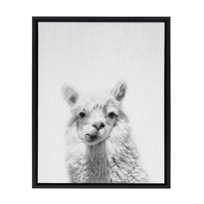 Framed canvas art of a handsome alpaca by Simon Te, displaying the animal with a calm expression against a muted background.