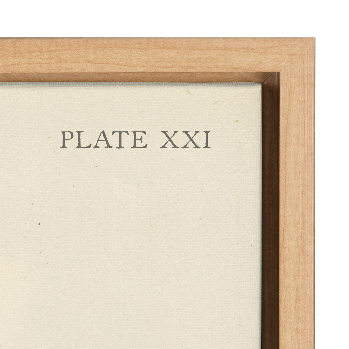 Sylvie Ferns Framed Canvas Set by kateandlaurel - product image 3 for Resin Society