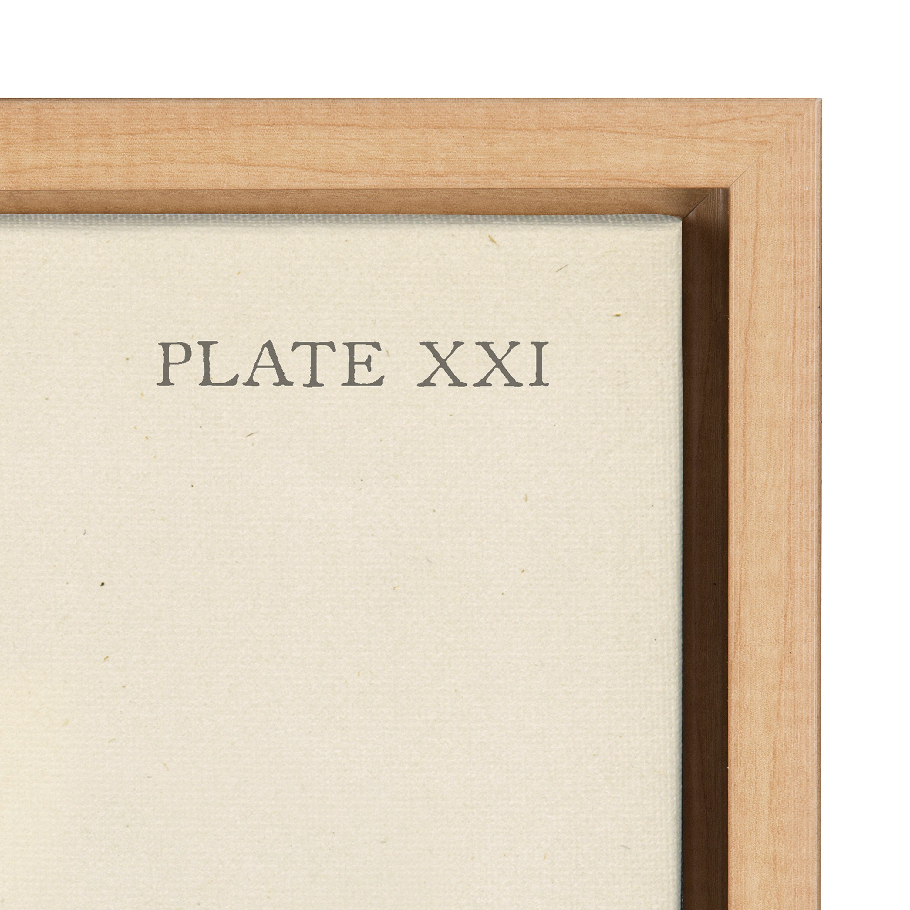 Sylvie Ferns Framed Canvas Set by kateandlaurel - product image 3 for Resin Society