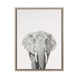 Black and white detailed frontal portrait of an elephant with large ears and prominent tusks, on a light gray background, framed in simple wooden frame.