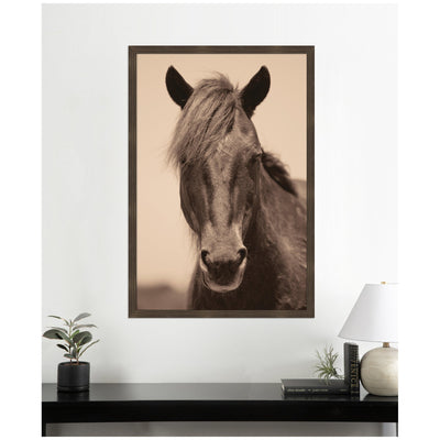 Equine Horse by Robert Cadloff Framed Wall Art Print