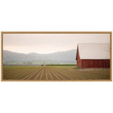 View of a red barn with a white roof bordering a field with evenly spaced rows of young crops, set against softly lit distant hills under a pale sky.