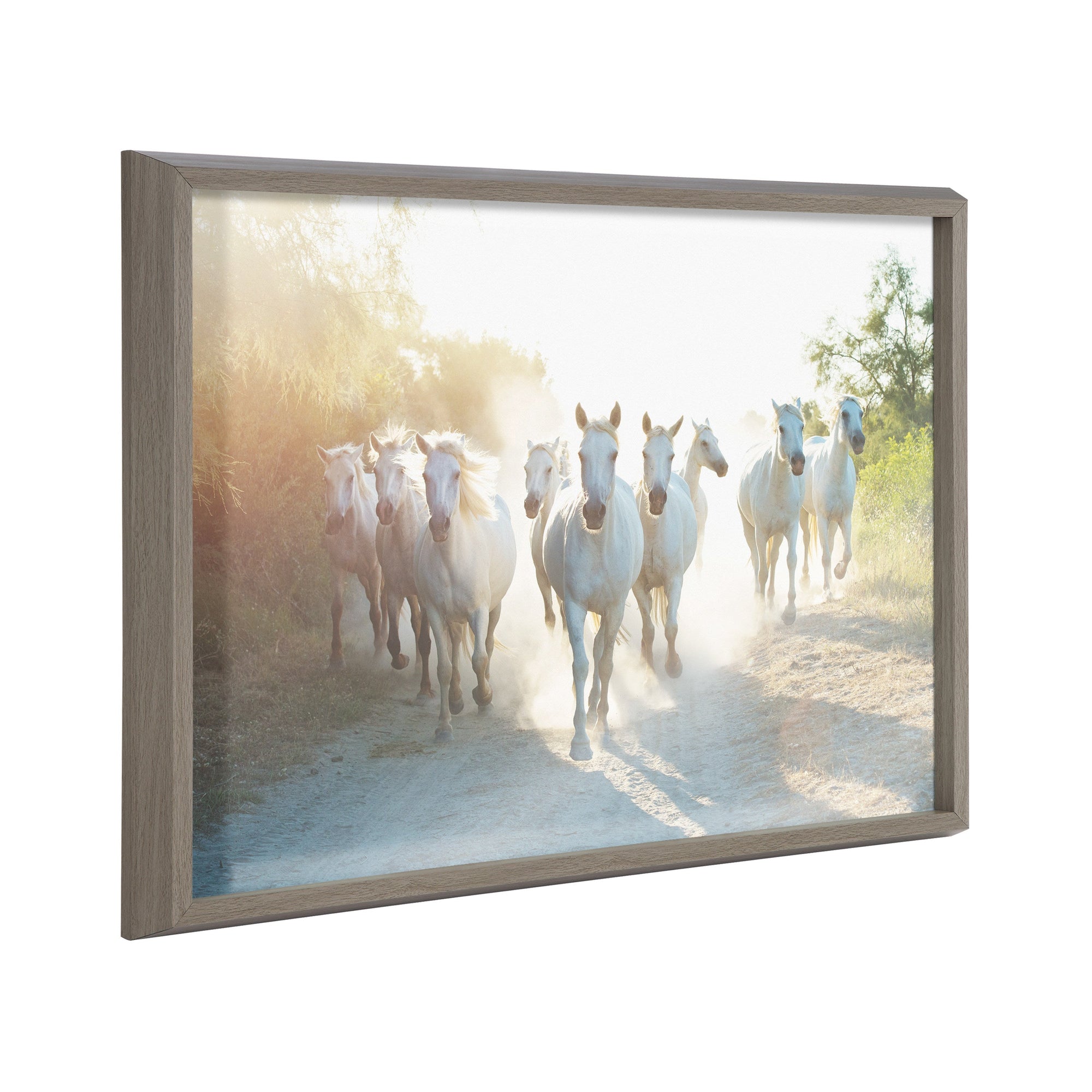 Blake Camargue Horse XIII Framed Printed Glass by Laura Evans by kateandlaurel - main product image for Resin Society