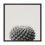 Sylvie Haze Succulent Cactus Short Framed Canvas