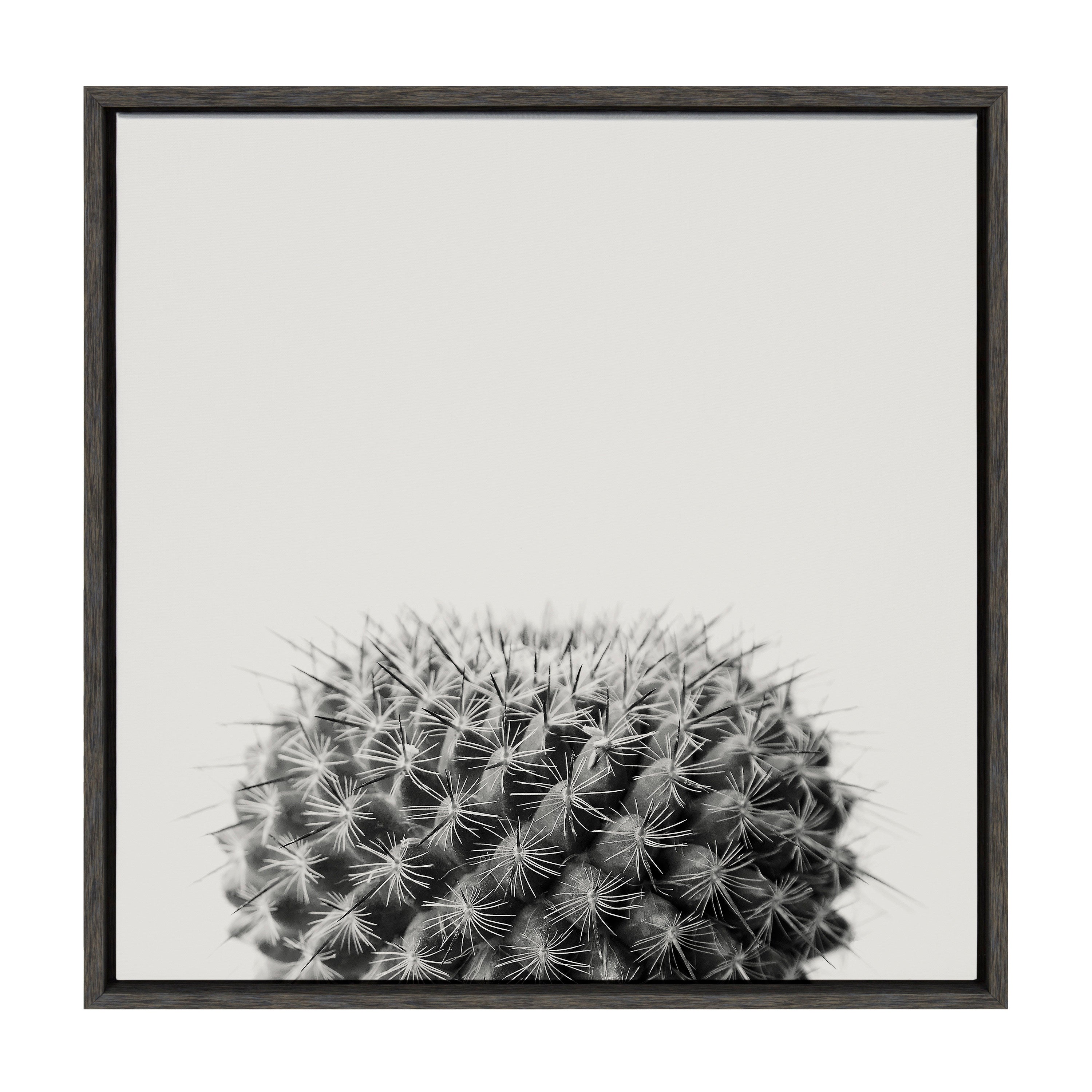 Sylvie Haze Succulent Cactus Short Framed Canvas
