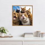 Framed close-up photo of five curious cats with different fur patterns, looking directly at the camera against a blue sky background, hanging above a white tabletop.