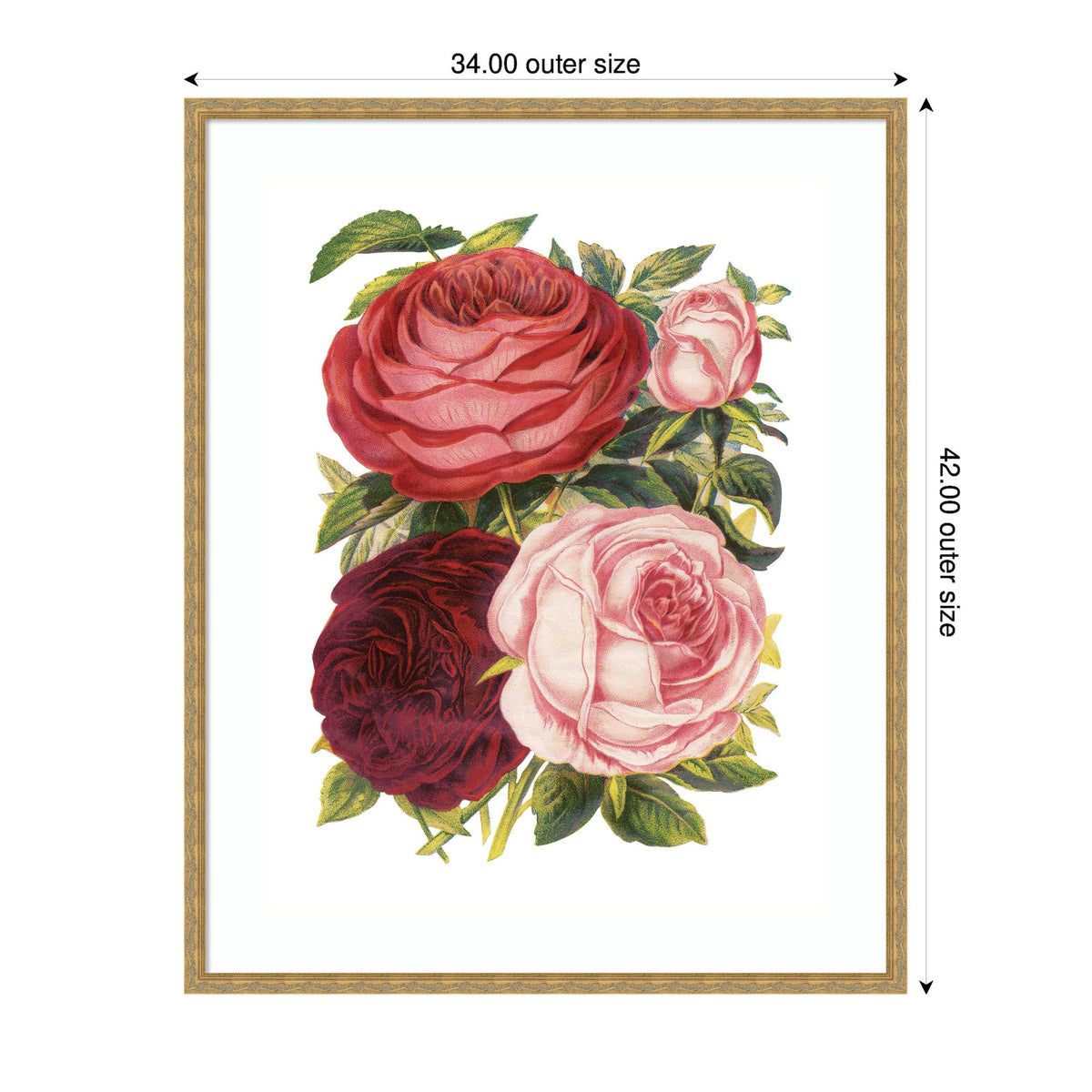 Framed vintage-style botanical print featuring four Victorian roses in red, dark burgundy, and soft pink with green leaves on white background.