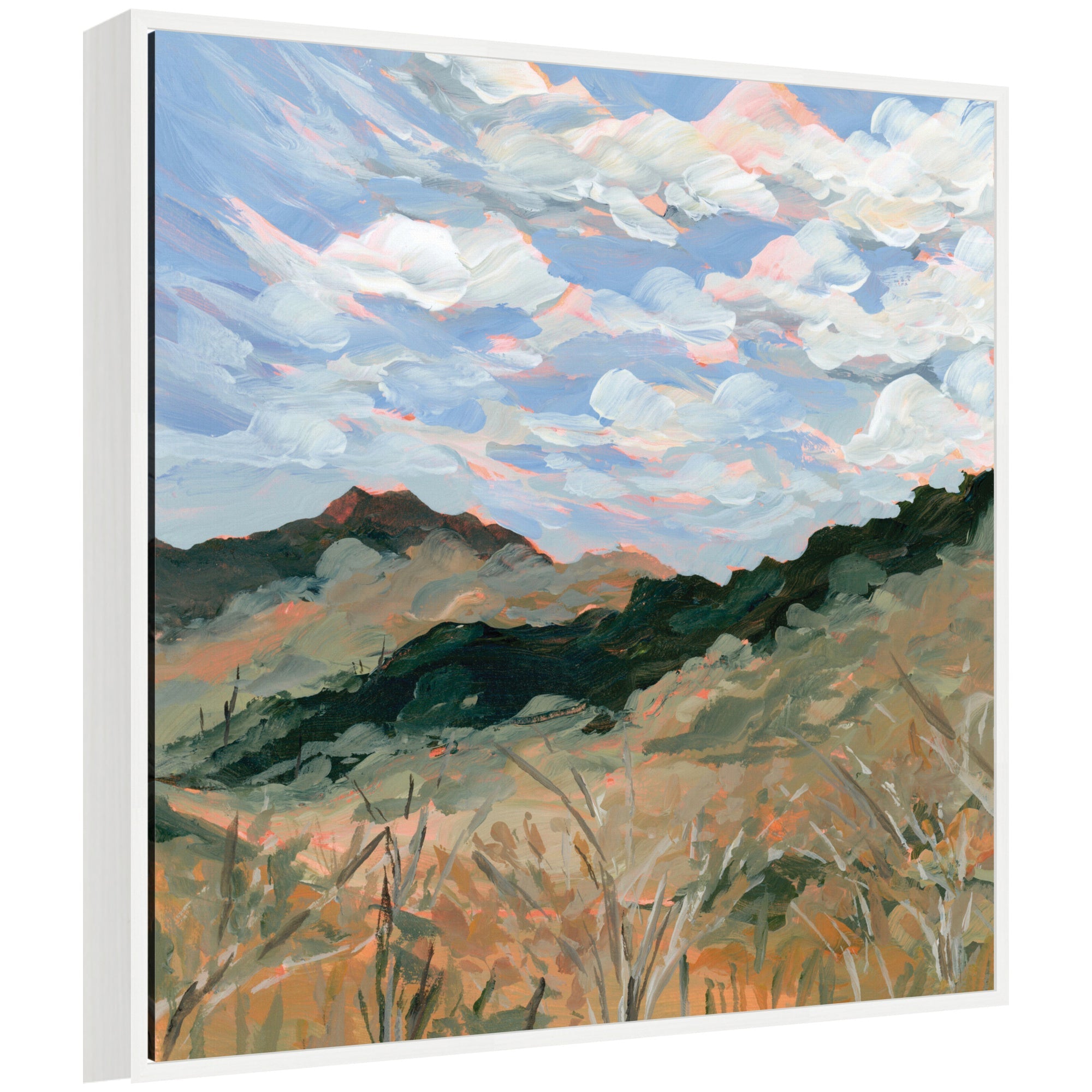 Framed canvas wall art print titled Arkansas by Emily Kenney, showing a textured mountain landscape under a sky with wispy clouds, in a white frame.