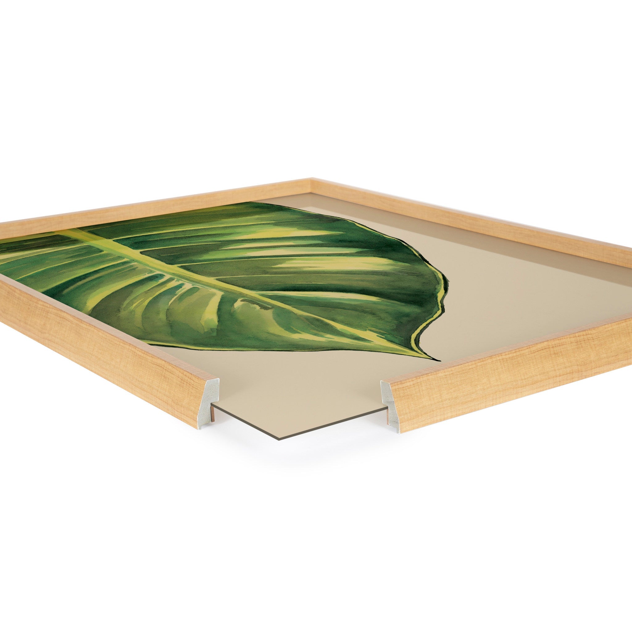 Blake Large Leaf Greener Hue Neutral Framed Printed Glass by kateandlaurel - product image 3 for Resin Society