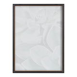 Blake Botanical Succulent Plants 1 Framed Printed Glass by The Creative by kateandlaurel - product image 4 for Resin Society