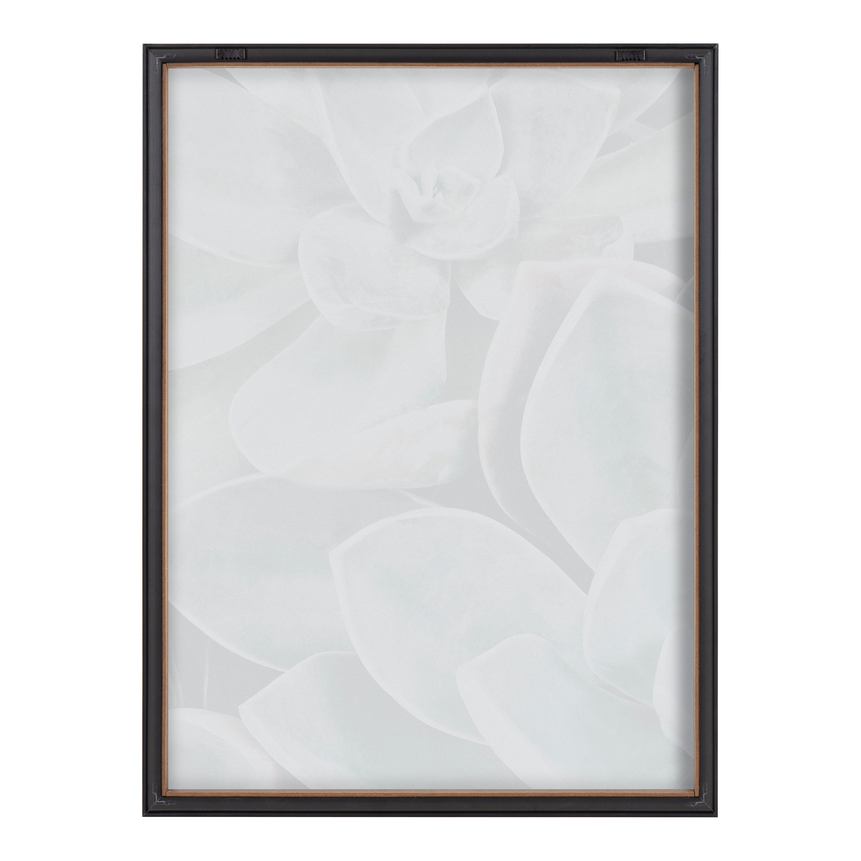 Blake Botanical Succulent Plants 1 Framed Printed Glass by The Creative by kateandlaurel - product image 4 for Resin Society